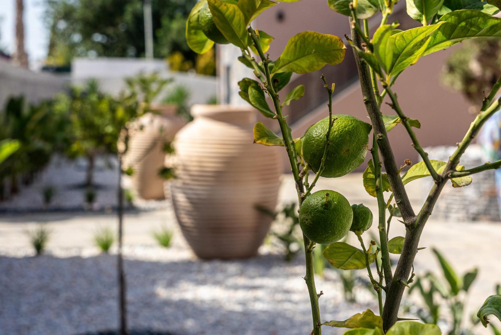 La Reve Luxury Apartments Hersonissos (Crete) Exterior foto